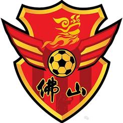 佛山队